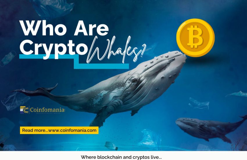 ¿Quiénes son las ballenas criptográficas?  El único artículo que necesitas leer