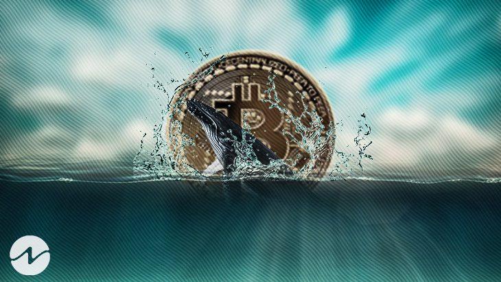 Whale transfiere 2.500 Bitcoin (BTC) por valor de 62 millones de dólares a Binance