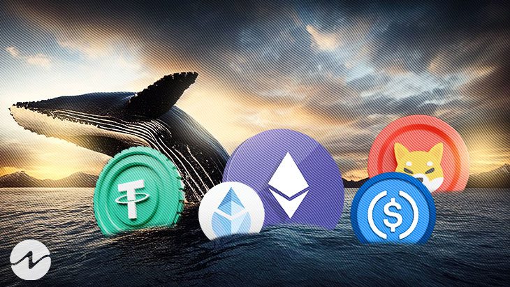 ¿Las ballenas Ethereum están acumulando Shiba Inu (SHIB)?