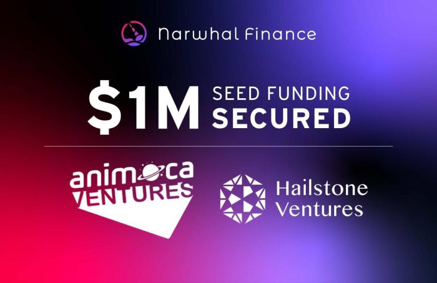 Narwhal Finance obtiene $ 1 millón en fondos iniciales liderados por Animoca Ventures