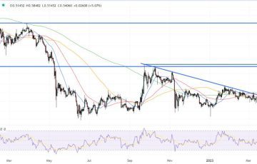 XRP Price Prediction as XRP Becomes Top Performing Crypto in the past 24 Hours – $1 XRP Incoming?