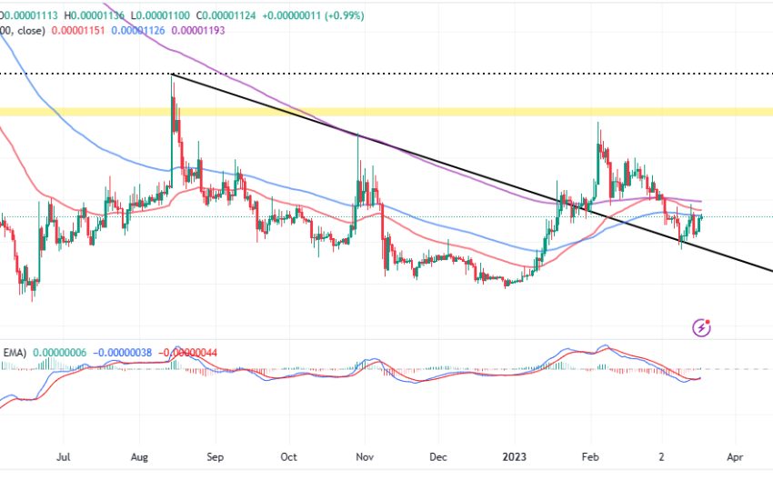 Shiba Inu Price Prediction as SHIB Blasts Up 15% From Recent Bottom – New Bull Market Starting?