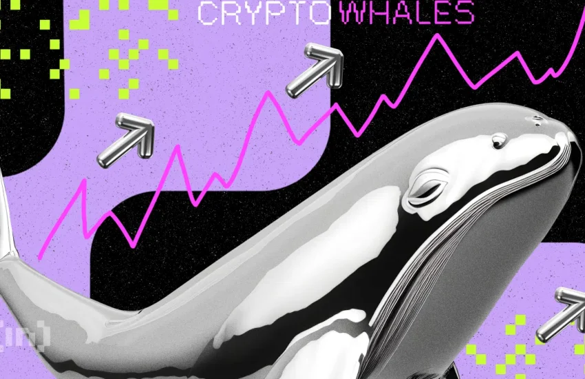 What Crypto Whales Are Buying for Potential Gains in May 2023