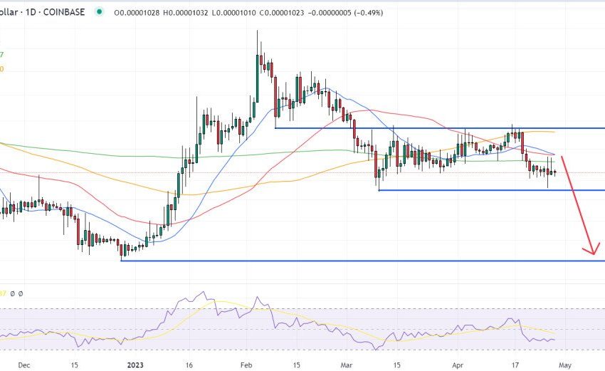 Shiba Inu Price Prediction as New Neo-Banking App Adds Support for SHIB – Time to Buy?