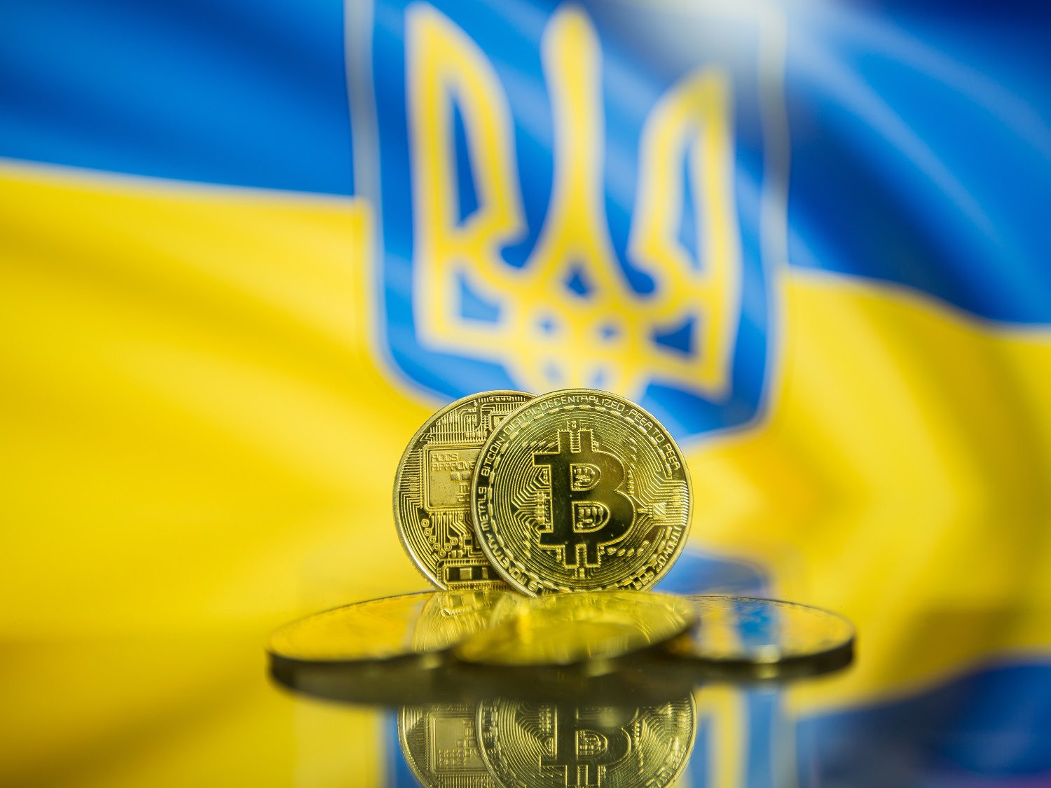 Cinco monedas de metal decoradas con el logotipo de Bitcoin sobre el fondo de una bandera ucraniana, con el símbolo nacional estilo tridente.