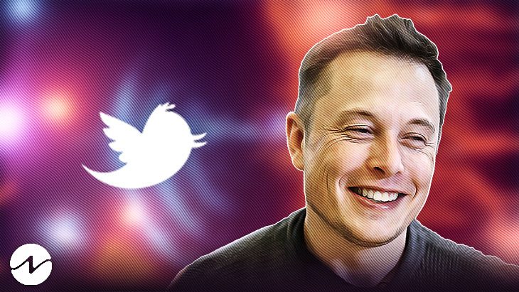 Milady NFTs Trading Volume and Price Surges Post Elon Musk Tweet