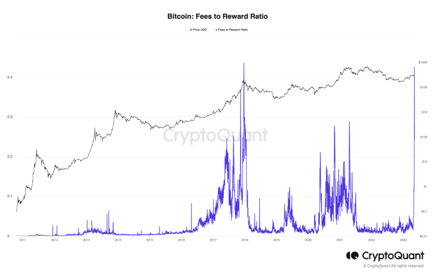 Relación entre las tarifas de Bitcoin y la recompensa