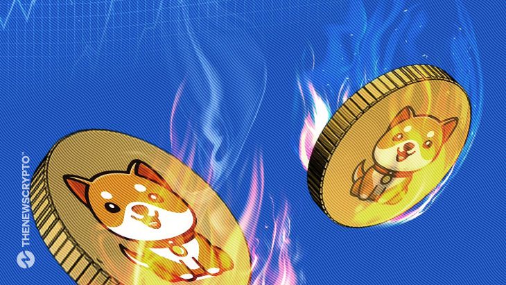 Whopping 100 Quadrillions Token Burn Proposed By BabyDoge Team