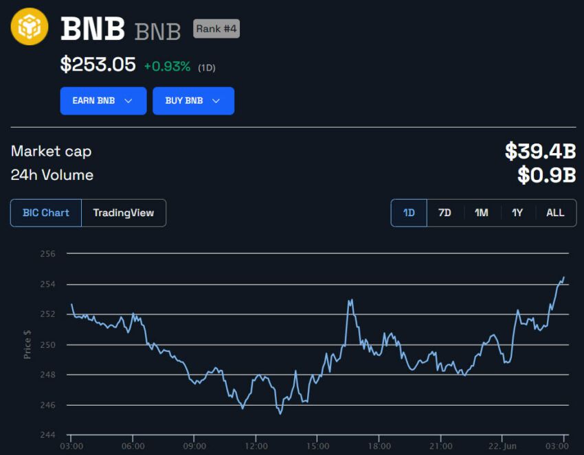 Precio BNB en USD 24 horas.  Fuente: BeInCrypto