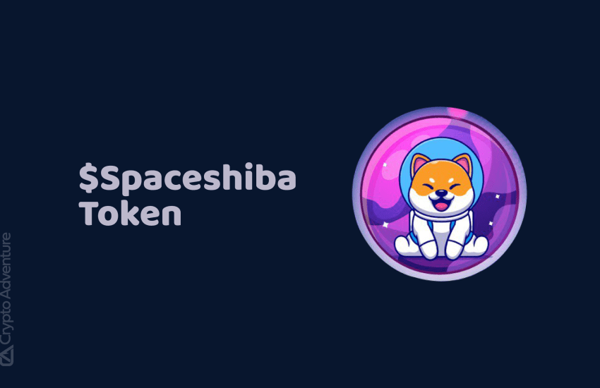 Space Shiba anuncia inminente lanzamiento justo en Pinksale