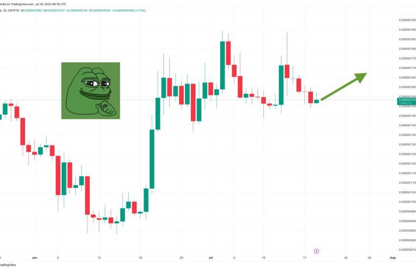 Predicción del precio de Pepe Coin a medida que PEPE sube un 65% en un mes: ¿es hora de comprar?