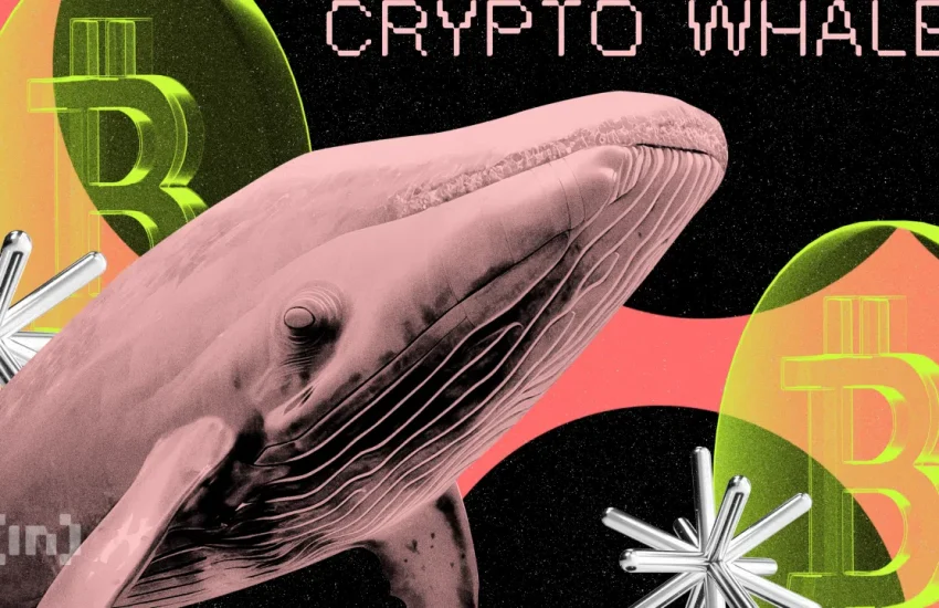 What Crypto Whales Are Buying For Potential Gains in July