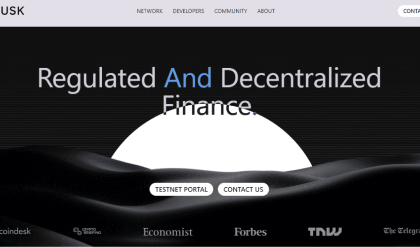 Dusk (DUSK) - Plataforma Blockchain orientada a la privacidad para aplicaciones financieras