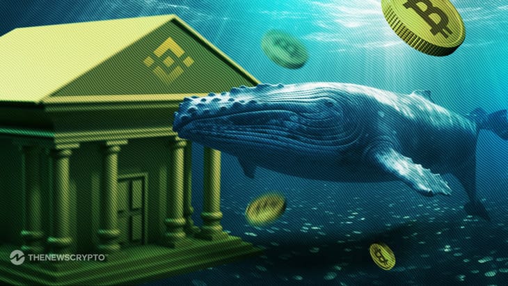 Bitcoin Whale's $134M BTC Deposit on Binance Sparks Speculation