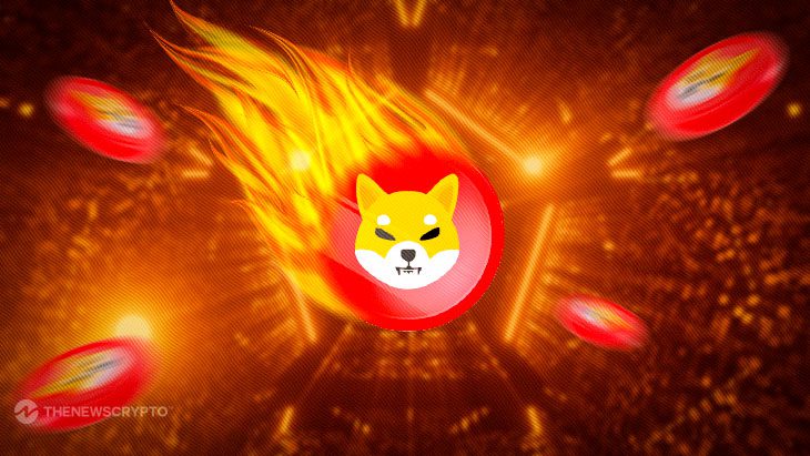 Shiba Inu Burn Rate Drops by -79.44% Over Past 7 Days