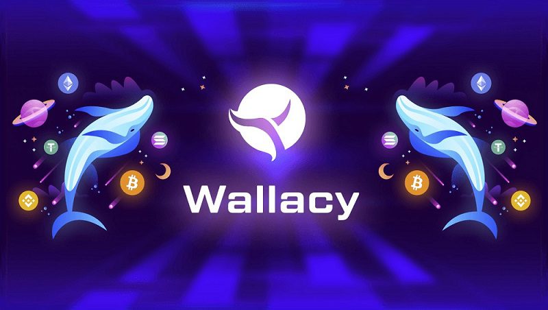 Wallacy Wallet Announces a Partnership with Crypto Investment Group