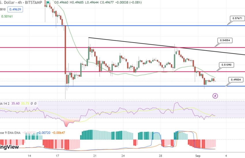 XRP Price Prediction as $0.50 Support Level is Breached – Will XRP Keep Falling?