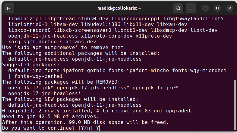 .  El resultado de ejecutar el comando para eliminar Java se muestra a continuación: