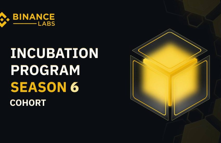 Binance Labs anunció doce tareas acreditadas para la ronda de incubación de la sexta temporada – CoinLive