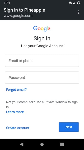 fake-gmail-login-portal