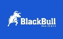 Logotipo de BlackBull Markets