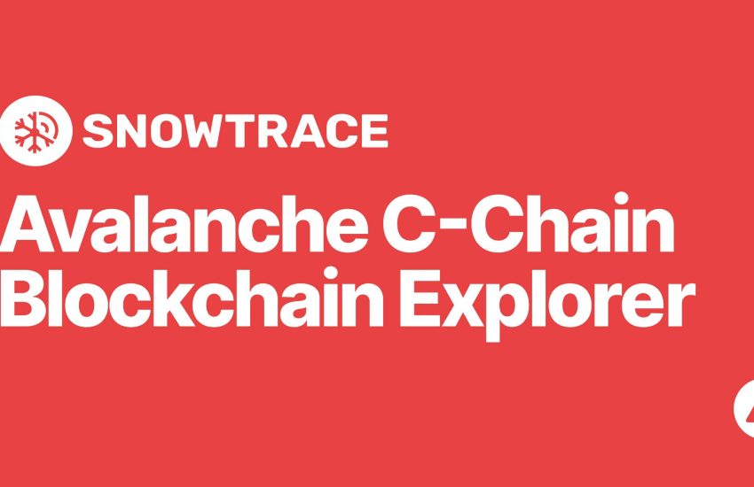 Avalanche, el explorador líder de blockchain, dejó de operar a finales de noviembre – CoinLive