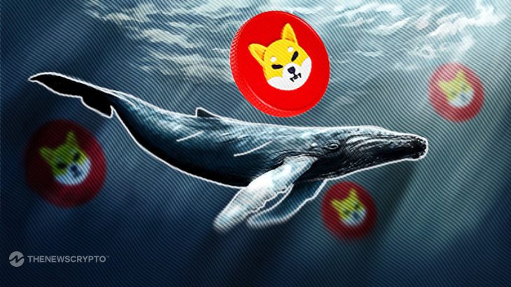 Millions Worth of Shiba Inu Moved by Whales; Price Surge Likely?