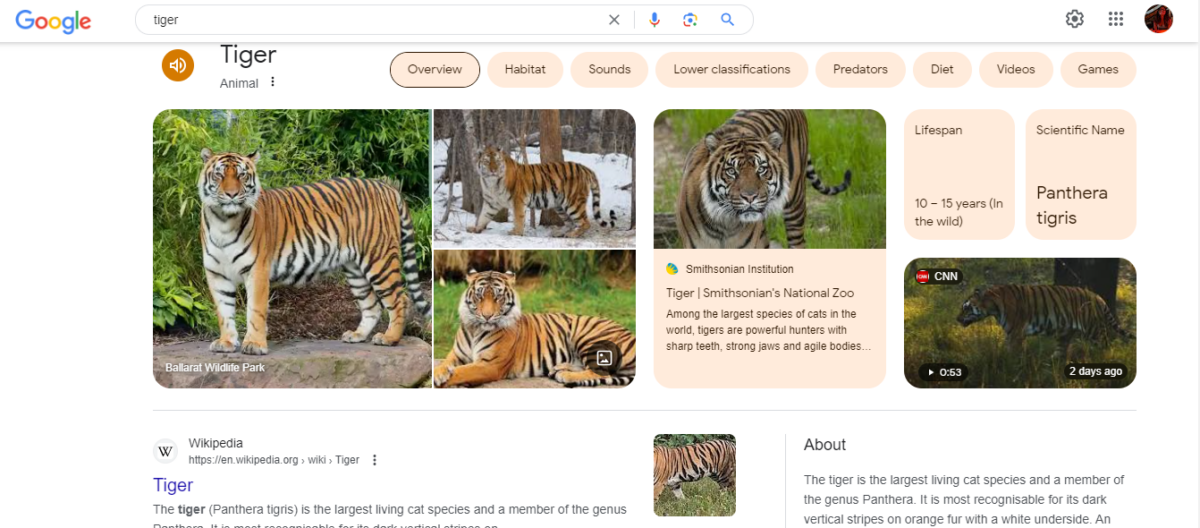 google-knowledge-graph-about-tiger