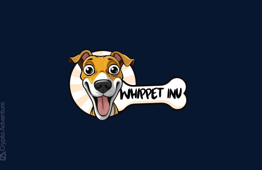 Adoptando las virtudes de los perros Whippet en el mundo criptográfico