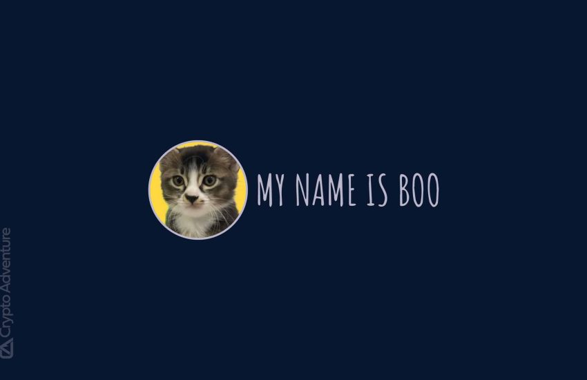 Presentamos la moneda Boo The Cat