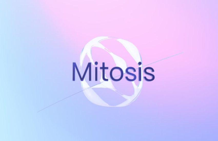 Guía de lanzamiento aéreo de tokens de Mitosis ($MITO): ¡EL TIEMPO ES SENSIBLE!