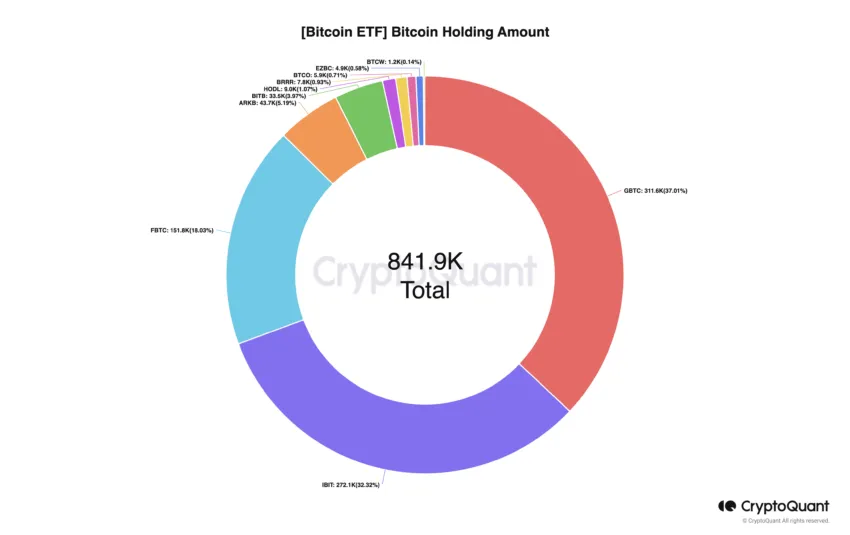 Monto de tenencia de ETF de Bitcoin
