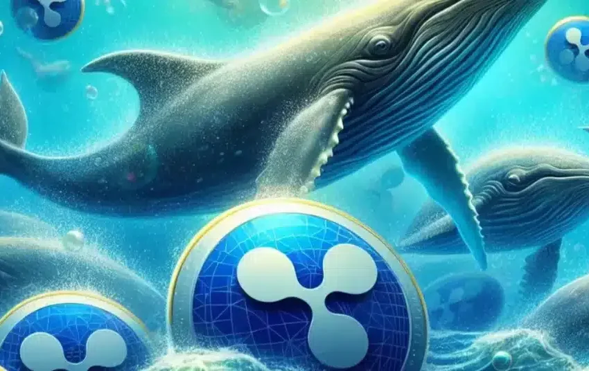 xrp-whales