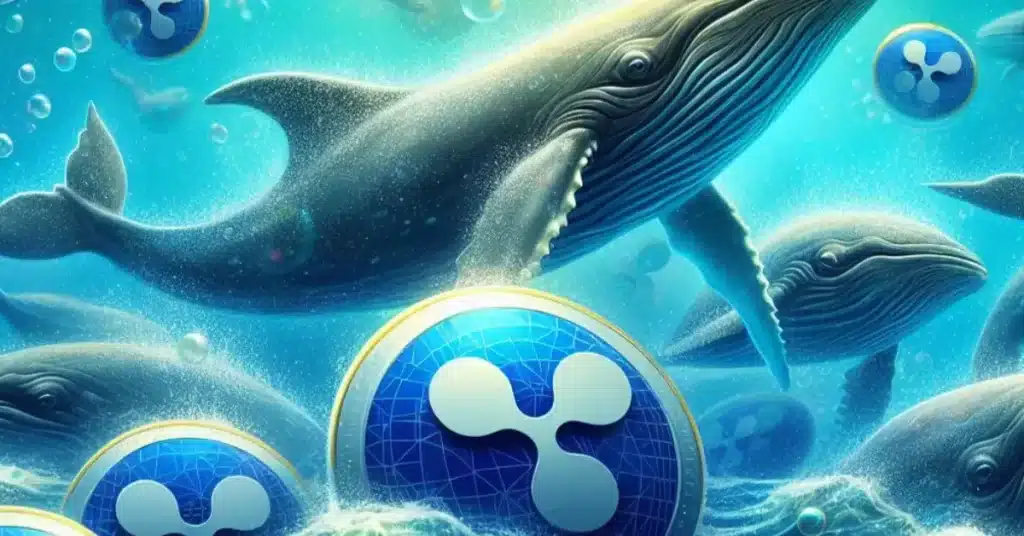 ballenas xrp