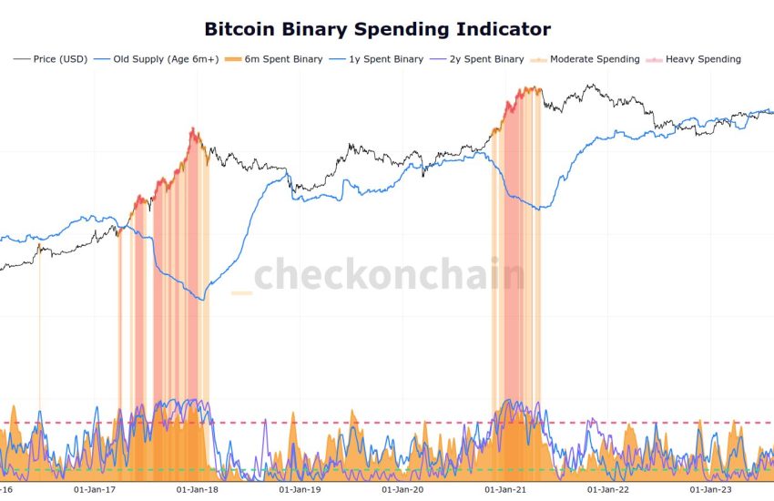 Bitcoin Long-Term Holders