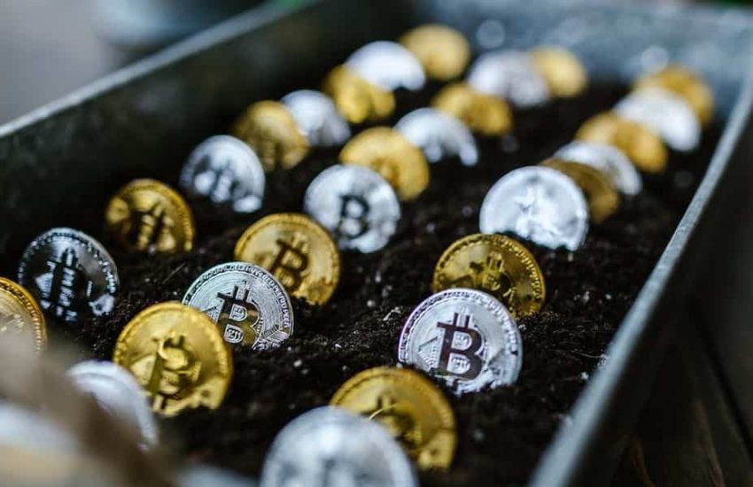 Coins-Bitcoin-seeded-ground