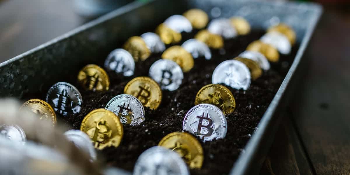 Monedas-Bitcoin-sembradas