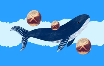 XRP Whale Transfers 129M XRP Amid Ripple Vs SEC Lawsuit Speculations