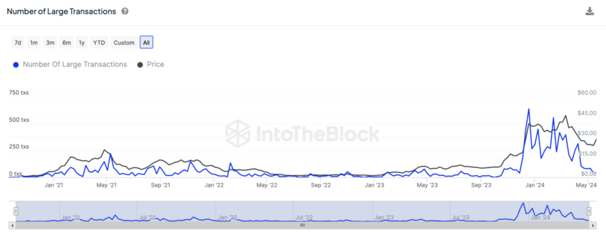 Número de transacciones grandes: IntoTheBlock