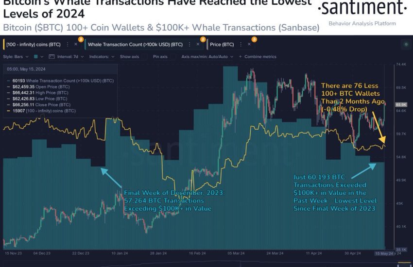 Bitcoin Whale transactions trend.