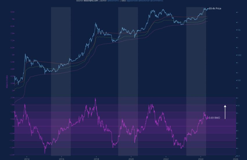 Bitcoin Macro Oscillator