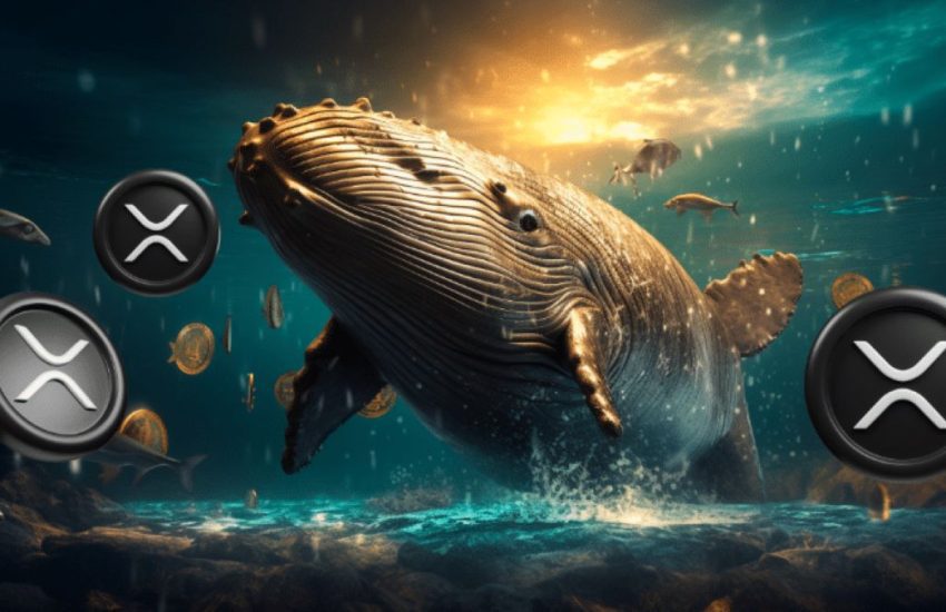 whale xrp