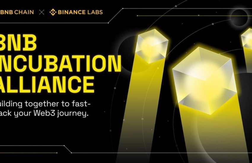 BNB Chain y Binance Labs colaboran con los principales capitalistas de riesgo para lanzar BNB Incubation Alliance (BIA)