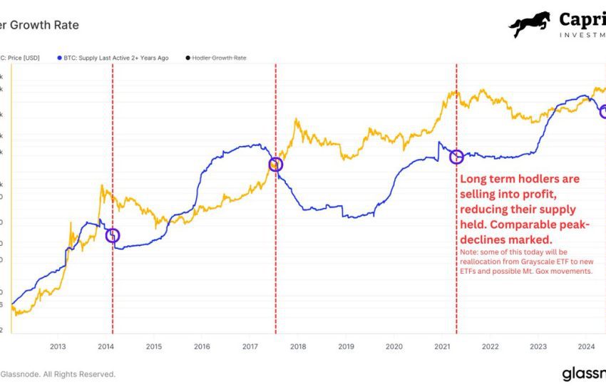 Growth rate of Bitcoin holders.