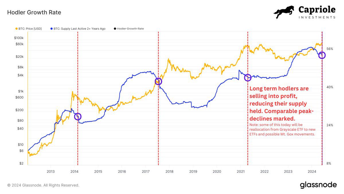 Tasa de crecimiento de los poseedores de Bitcoin.