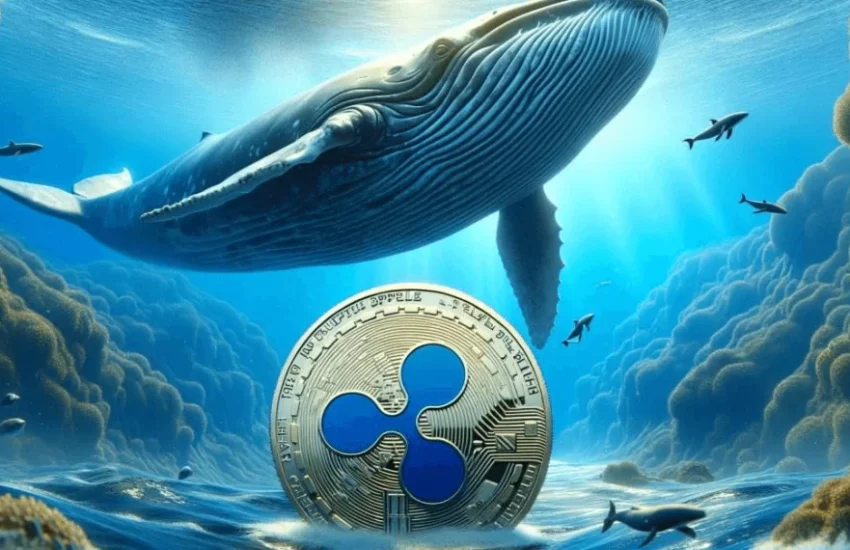 XRP Whales