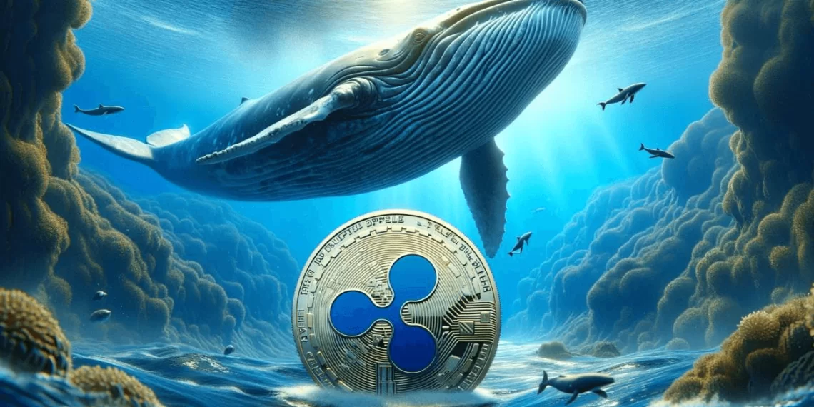 ballenas XRP