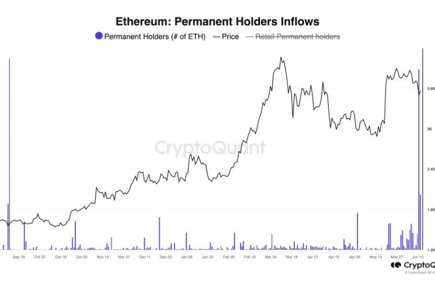 Ethereum permanent holders inflow