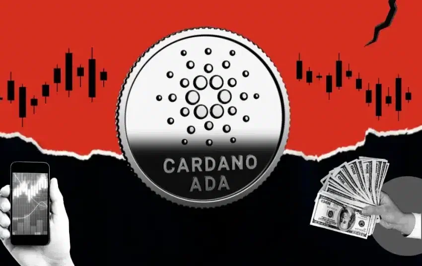 Cardano At Critical Crossroads