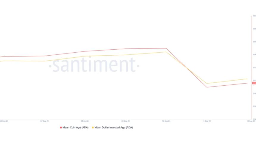 La edad promedio de las monedas ADA y la edad promedio de los dólares invertidos están disminuyendo. 